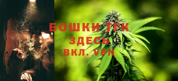 молекула духа Богданович