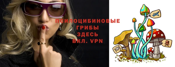 PSILOCYBIN Богородицк