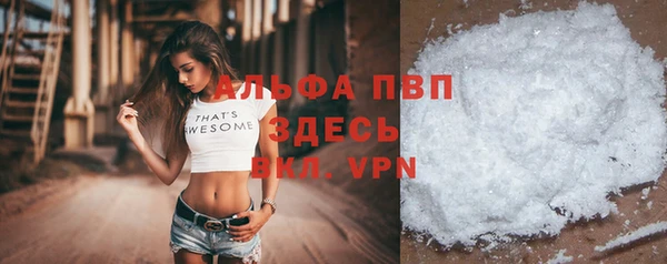 спиды Бородино