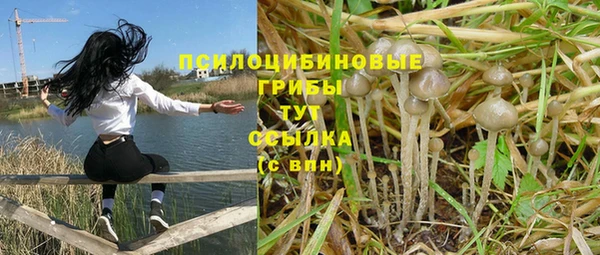 ECSTASY Бугульма