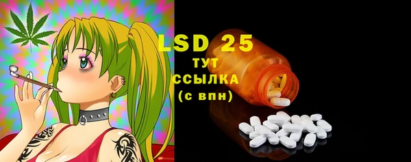 PSILOCYBIN Богородицк