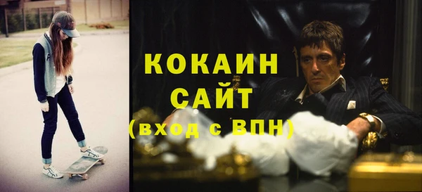 молекула духа Богданович