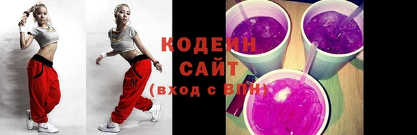 молекула духа Богданович
