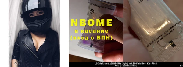 молекула духа Богданович
