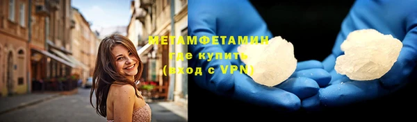 молекула духа Богданович