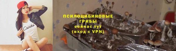 спиды Бородино