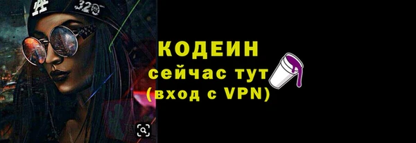 молекула духа Богданович