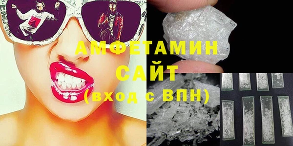 молекула духа Богданович