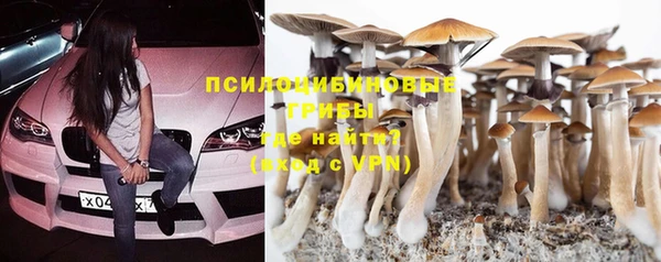 PSILOCYBIN Богородицк