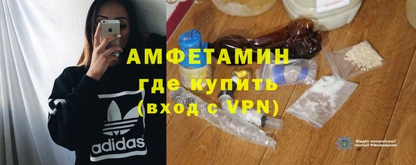 молекула духа Богданович