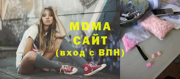 молекула духа Богданович