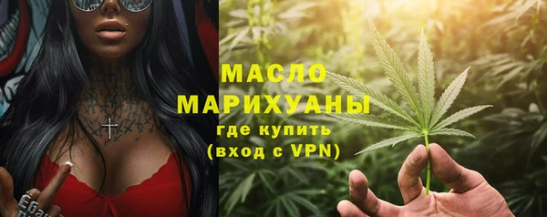молекула духа Богданович