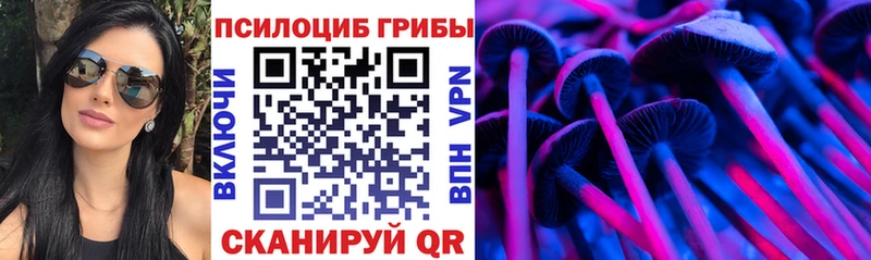 Галлюциногенные грибы прущие грибы  Купить где  Новозыбков 
